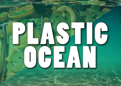PLASTIC OCEAN SEA SCULPTURES